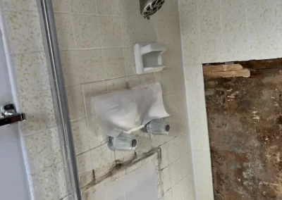 Professional Plumbing Services